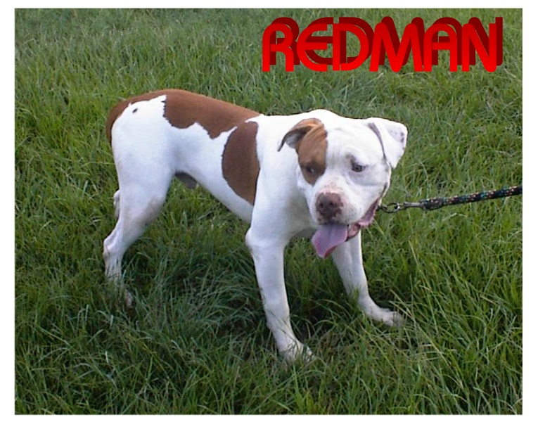redman200.jpg
